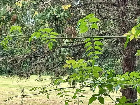 Terreno en Venta, FOS 0,6