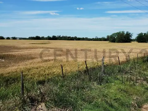 VENTA CAMPO RUTA 7 CARMEN DE ARECO