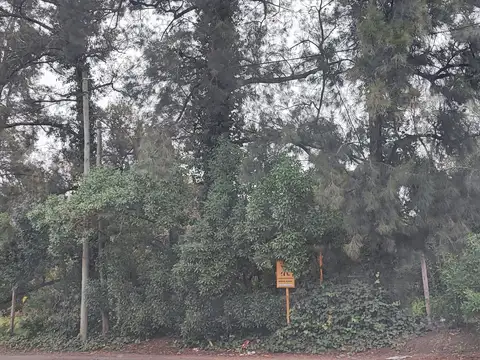 Terreno en venta en Villa Elisa