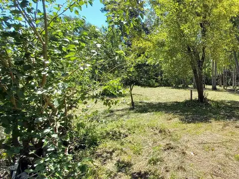 Rio / Arroyo Espera Parcela 100