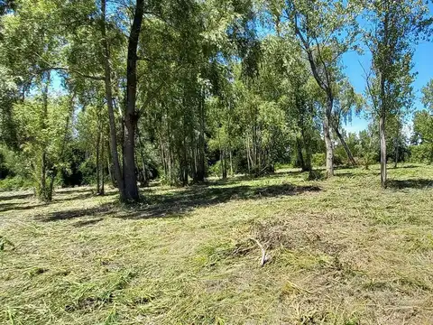Terreno en Venta de 1000,0 m2