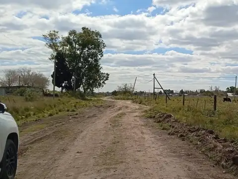 1443 y 1420