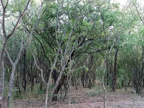 Terreno en Venta de 4834,0 m2