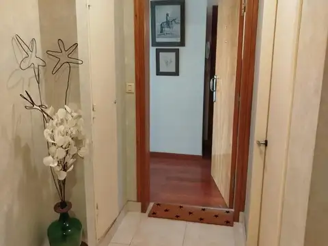 Alberti 100
