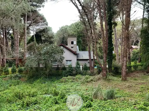 Urraca y Caoba 1400
