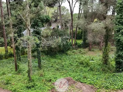 Terreno en Venta 20  mts Frente