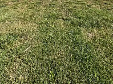 Terreno en Venta de 708,0 m2