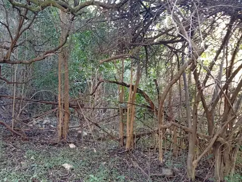 Terreno en Venta de 1835,0 m2
