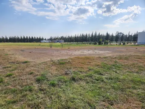 Ruta Provincial 2 100