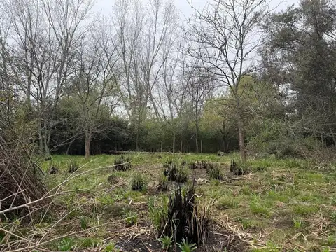 Terreno en Venta en Pilar, USD 240.000