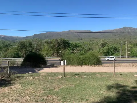 Araucarias & Los Ceibos