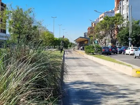 Galpon en Venta 38  mts Fondo