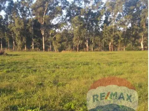 CAMPO/FRACCION  DE 1,25 hectareás CALLE 615 Y 25.