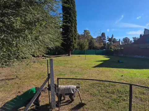 Casa Chalet  en Venta en Ricardo Rojas, Tigre, G.B.A. Zona Norte