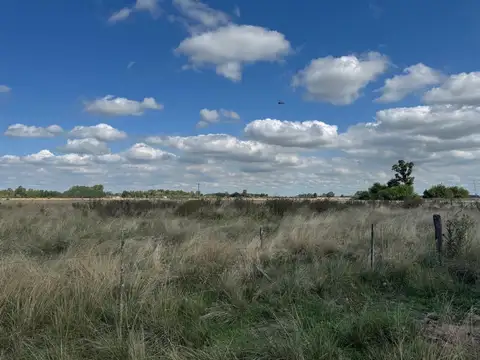Campo en venta km. 69 de la ruta 2 partido de La Plata