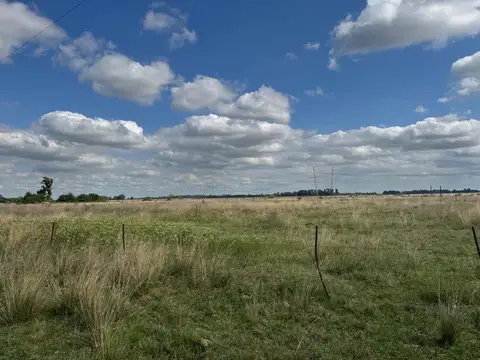 Campo en Venta Ganadero