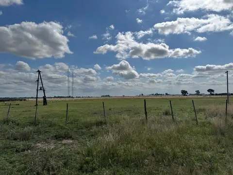 Campo en venta en km. 69 cerca de Brandsen