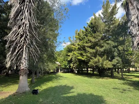 Km. 69