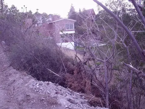 Los Cedros