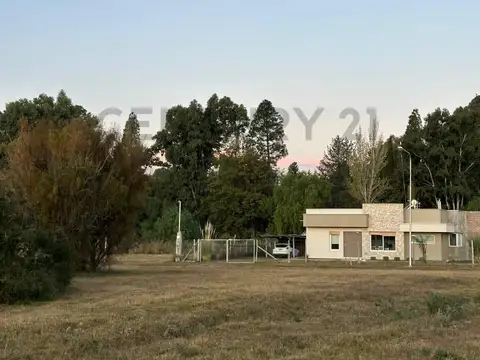 Zamarbide y San Francisco , Piso 0