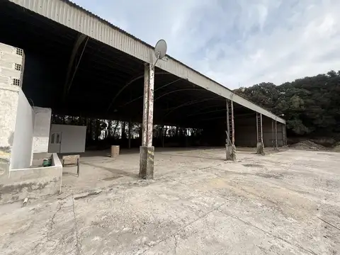 Galpon en Alquiler 35  mts Frente