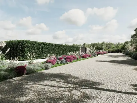 Albert Einstein 2700