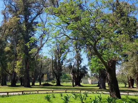 Terreno en Venta en Comarcas de Luján, USD 33.000