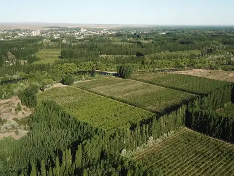 Villa Adelina