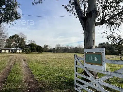 Venta Casa Quinta de 3 Dormitorios en Abasto, La Plata.