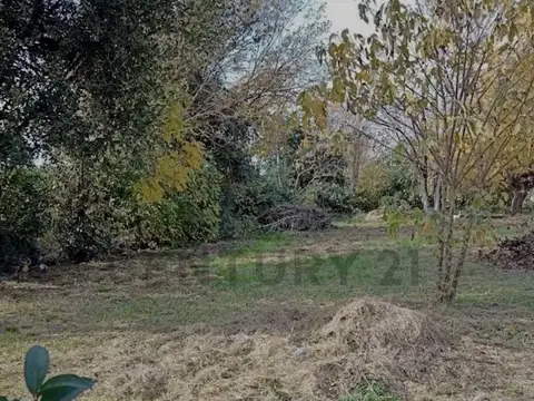 Loyala 5000, Piso 0