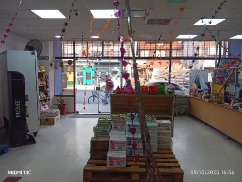 Avenida Brigadier General Juan Manuel De Rosas 2600