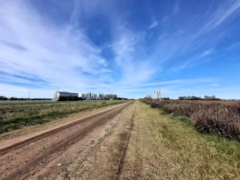 Terreno Campo  en Venta en Ramallo, Resto de la Provincia, Buenos Aires