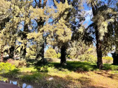 Terreno en Venta 35  mts Fondo