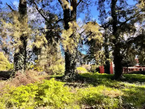 Terreno en Venta 20  mts Frente