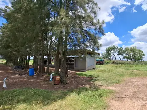 Campo en Venta de 30  ha