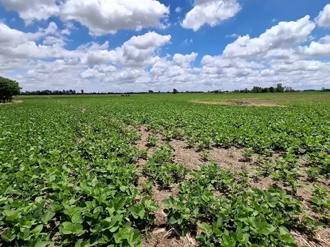 Campo en Venta de 30  ha