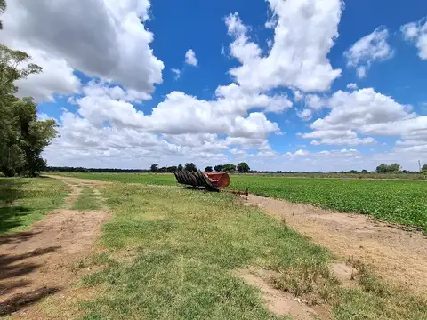 30 hectáreas en venta en Baradero