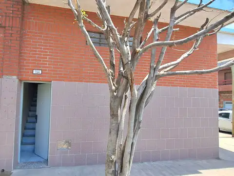 Bernardo De Irigoyen 1100, Piso 1