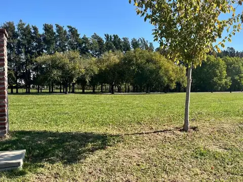 Terreno en Venta de 1100,0 m2