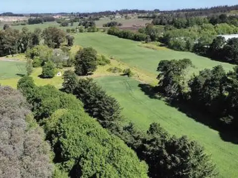 Campo en venta - 75 Hectáreas - Chapadamalal