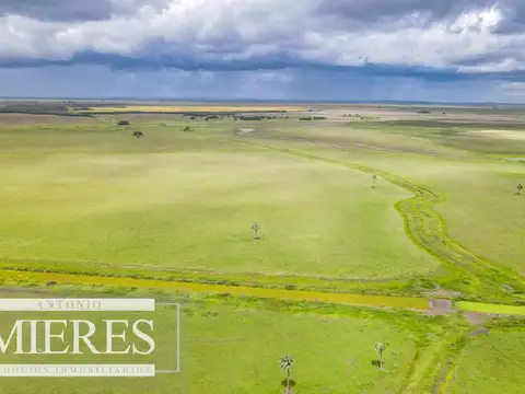 Campo en Rocha ganadero agrícola 125ha