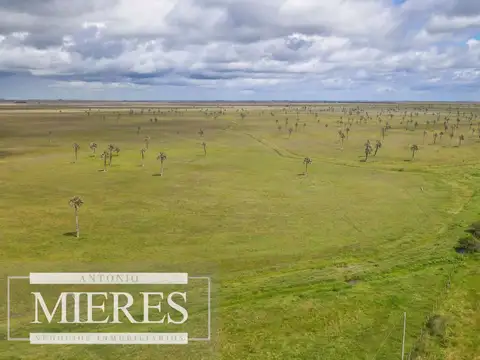 Campo en Rocha ganadero agrícola 125ha
