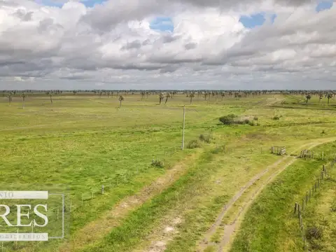 Campo en Rocha ganadero agrícola 125ha