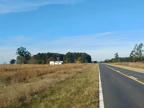 Ruta Nacional 12