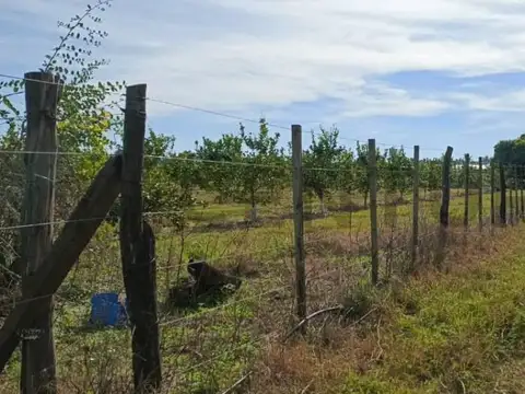 Campo en Venta de 12  ha
