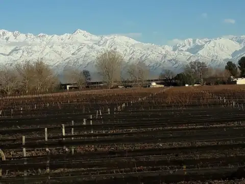 NICOLÁS QUIROGA S/N 100