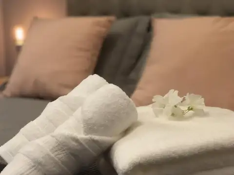 Departamento en Alquiler en Microcentro, USD 650