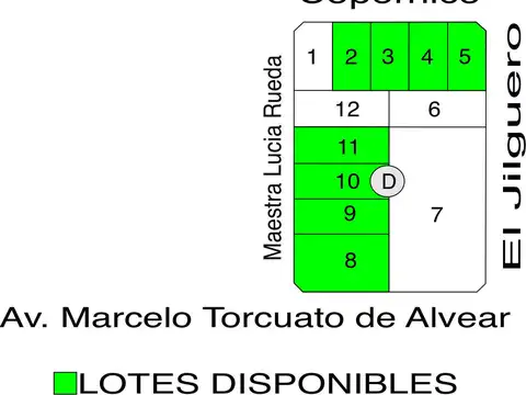 Copernico al 200