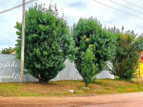 Hotel en Venta en San Bernardo del Tuyú, USD 180.000
