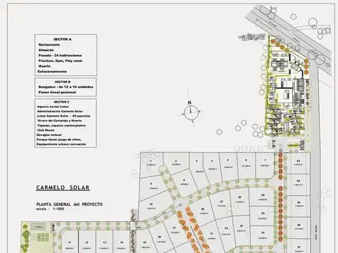 Terreno Lote  en Venta en Carmelo,  Colonia